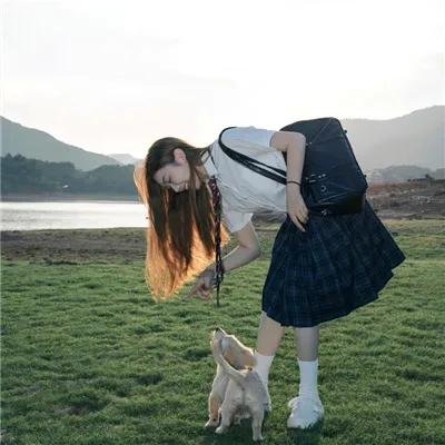蜗牛参议员